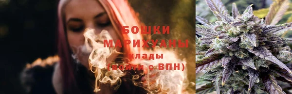 хмурый Аркадак