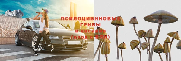 ECSTASY Армянск