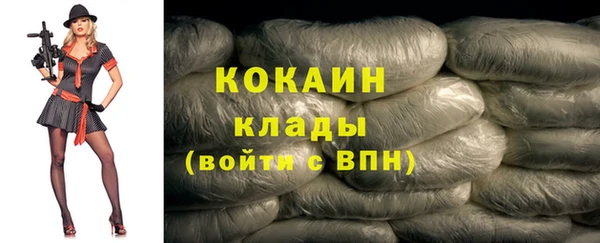 хмурый Аркадак