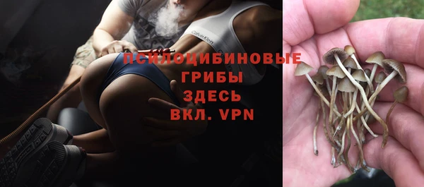 мяу мяу мука Арсеньев