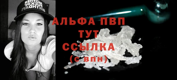 хмурый Аркадак