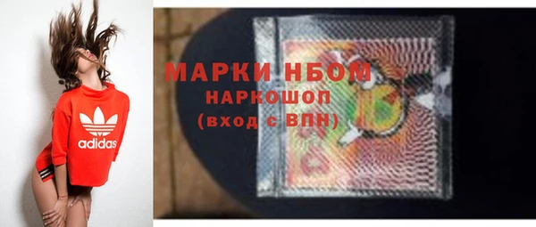 хмурый Аркадак