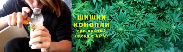 хмурый Аркадак