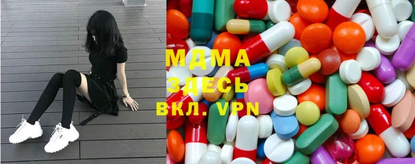 хмурый Аркадак