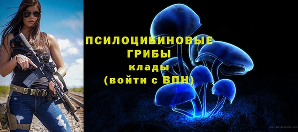 хмурый Аркадак