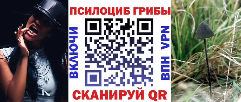 как найти закладки  Кириши  Галлюциногенные грибы мухоморы 
